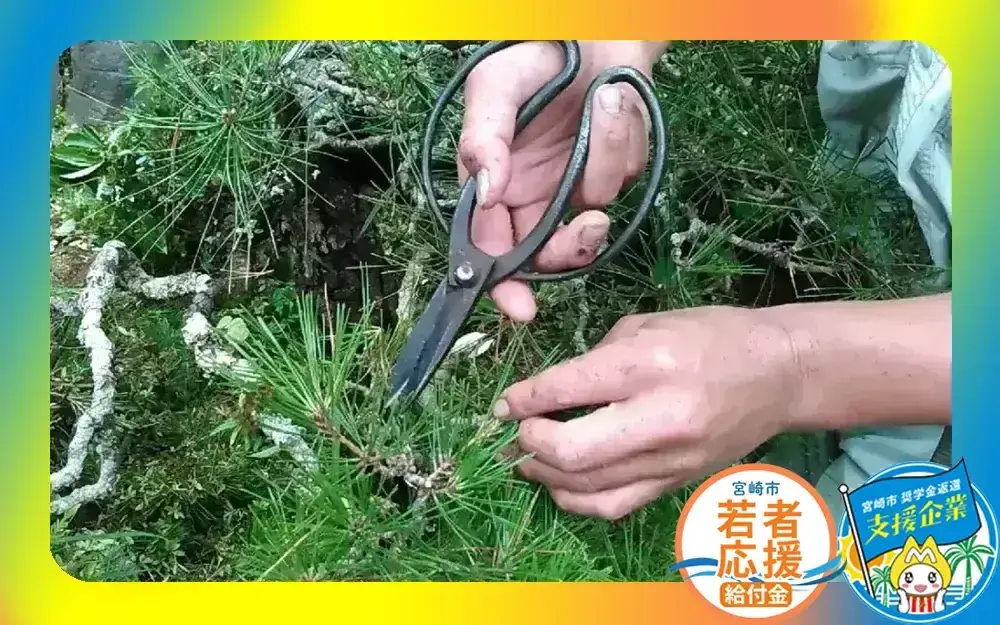 株式会社のざき造園