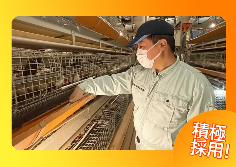 【積極採用！】養鶏管理及び施設管理業務